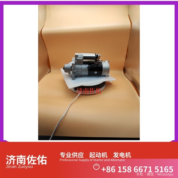 湖北E049361000002起动机08821095 发电机 Sany SR150 WP12
