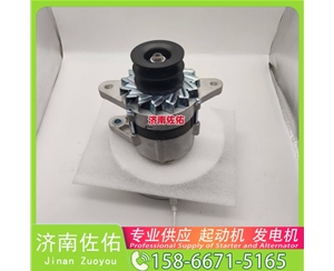 湖北0001372003起动机1770321 XCMG XZJ5160THB WP12 发电机