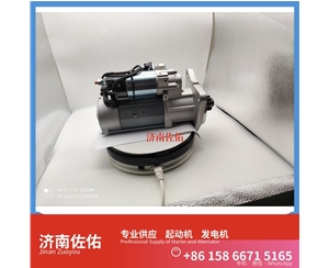 湖北1001916325起动机800141670 发电机 Zoomlion ZLJ5290THBE WP12